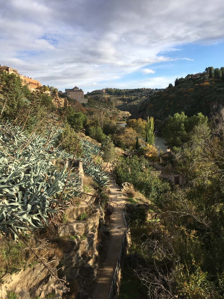 Hillside landscape with river and dense forest.