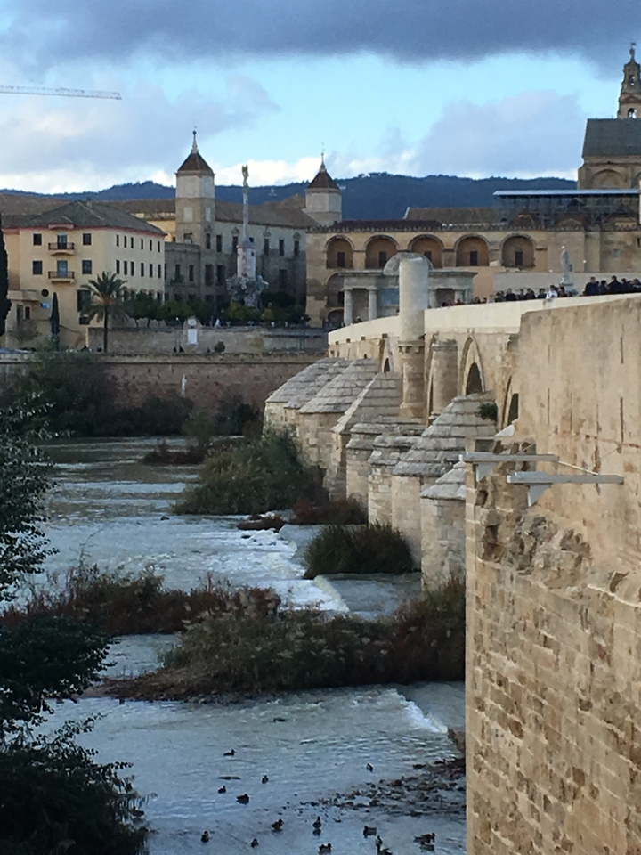 Roman bridge over a river with historic city buildings in the background.