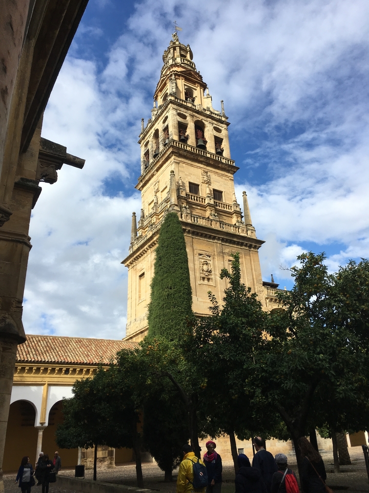 Historic bell tower with ivy and a blue sky backdrop.
