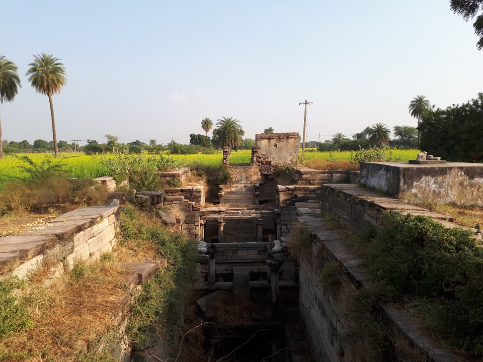 Ruines anciennes dans un champ avec des palmiers.