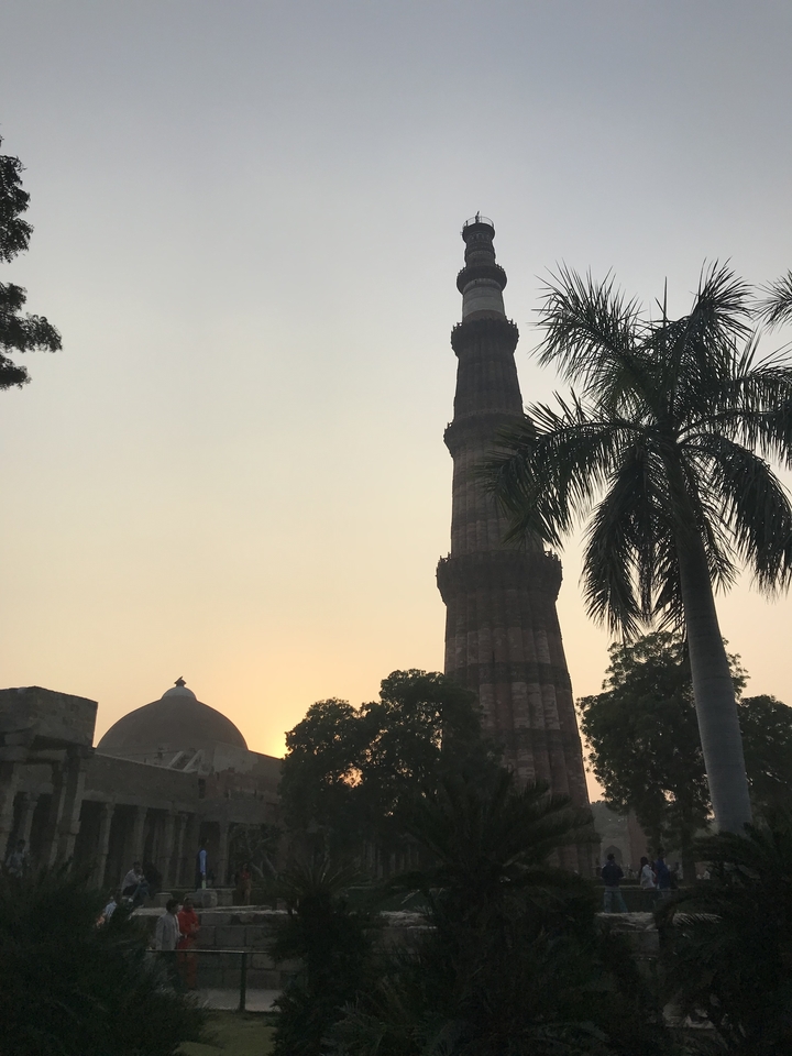 Silhouette d'une haute tour historique et de palmiers au coucher du soleil.