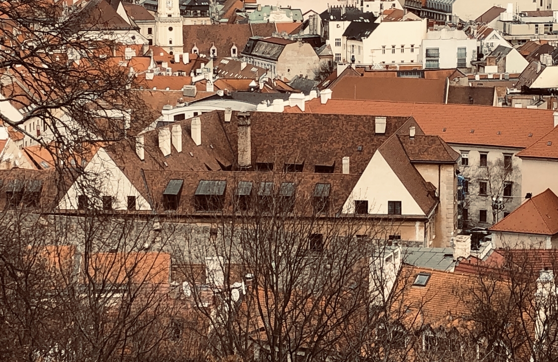 Vue aérienne d'une ville avec des toits européens traditionnels.