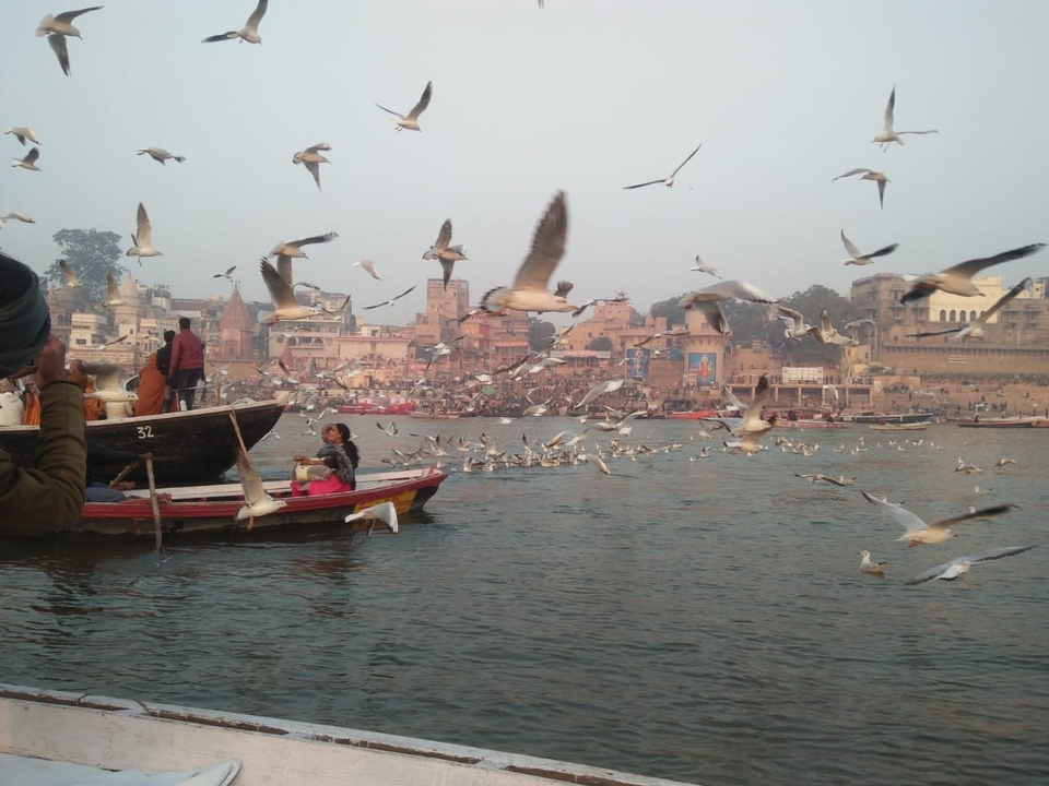 Repeat scene of boats and gulls on the Ganges with historic riverside temples in Varanasi.
