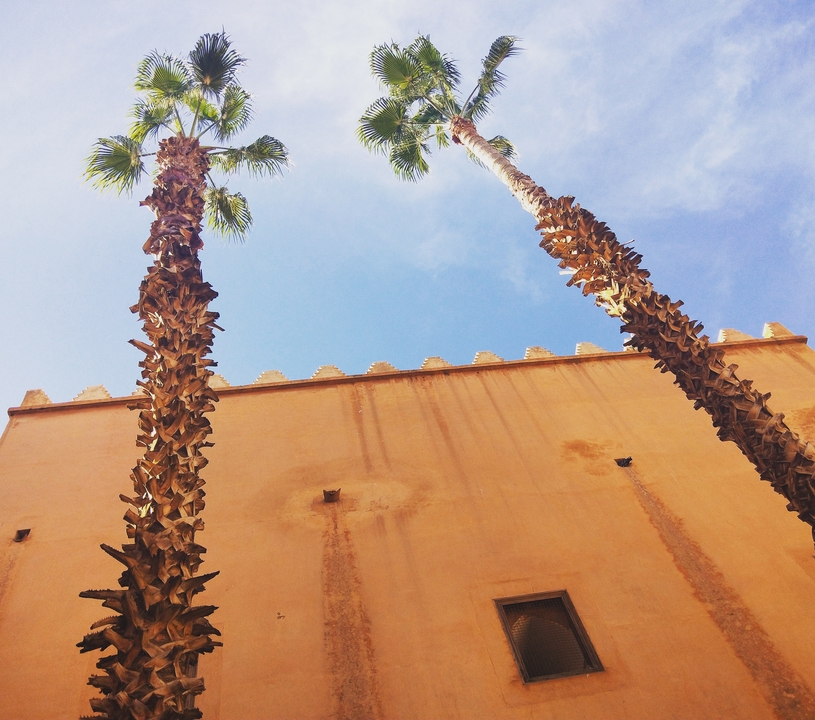 Regardant un mur avec deux palmiers.