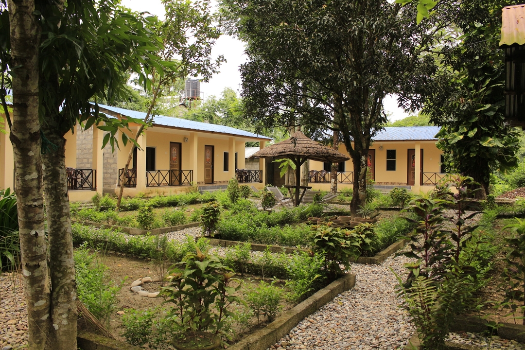 Un jardin serein entouré de bâtiments.