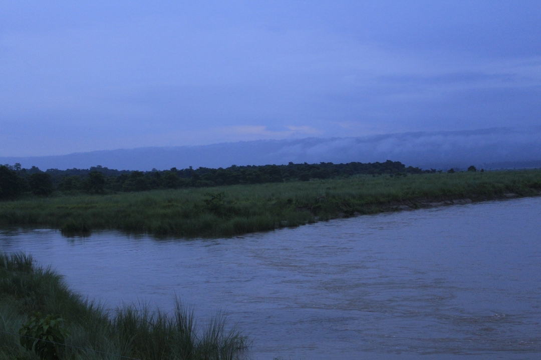 Une rivière qui coule à travers un paysage luxuriant sous un ciel nuageux.
