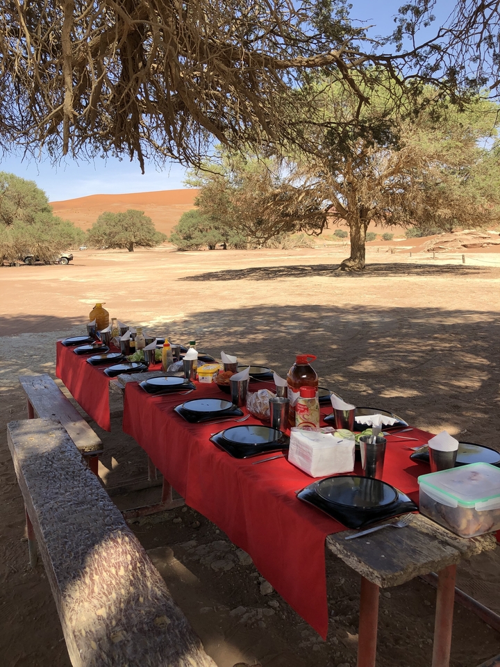 Configuration de restauration en plein air avec des nappes rouges et des arbres autour.