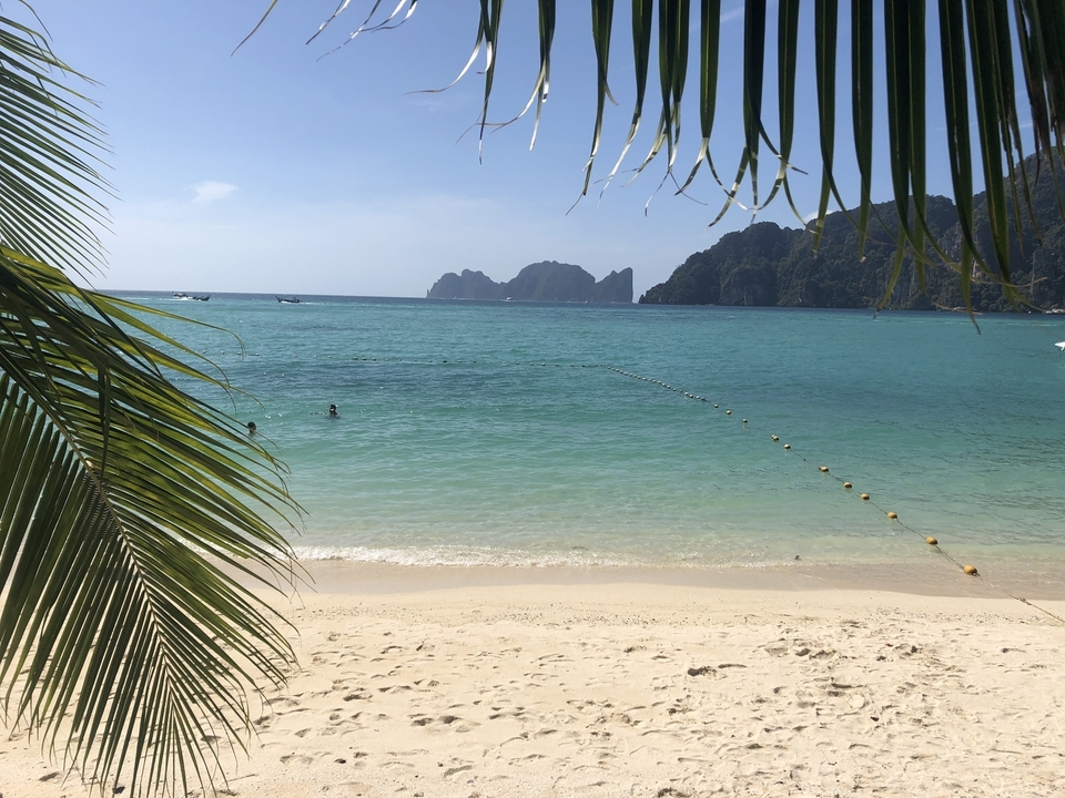 Scène de plage avec une eau cristalline, des îles au loin, et des gens qui nagent.