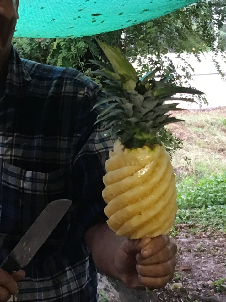 Personne tenant un ananas découpé de manière créative.
