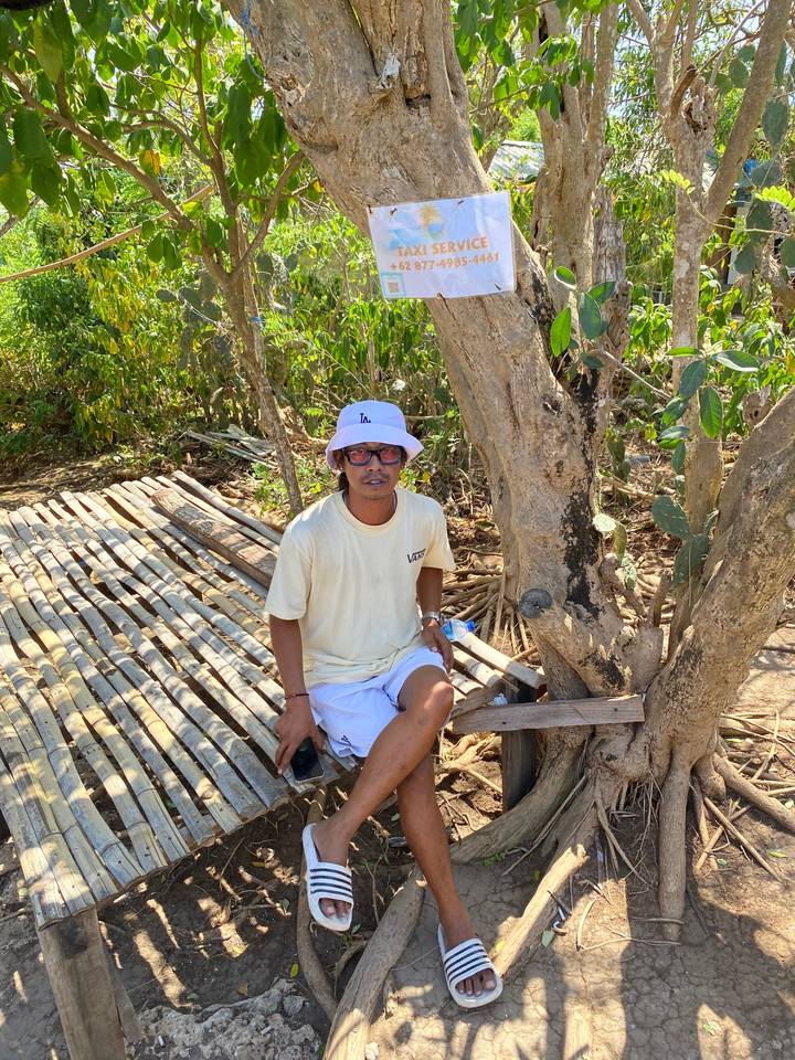 Personne assise sous un arbre avec vue sur un sentier de terre.