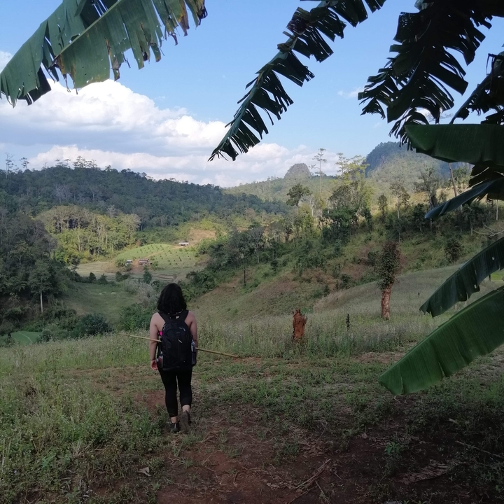 Randonneur admirant une vallée pittoresque avec des collines et des nuages.