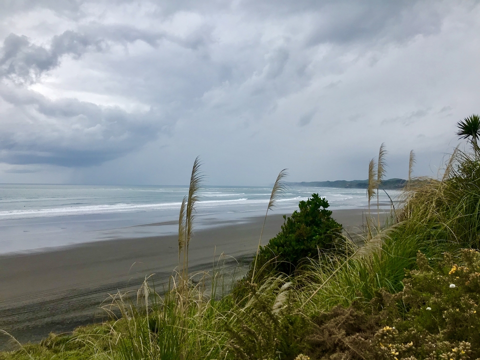 Plage de sable avec herbes marines et ciel couvert.