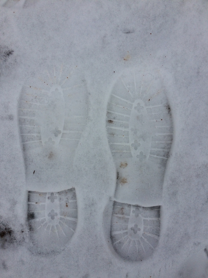 Empreintes dans la neige.