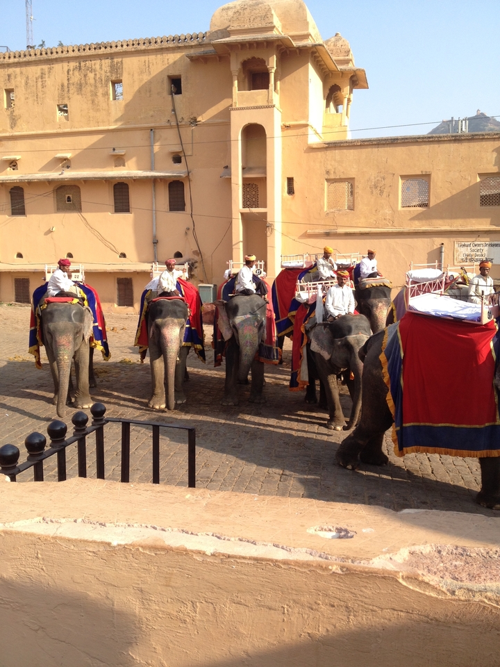 Groupe d'éléphants avec des décorations colorées et des cavaliers.