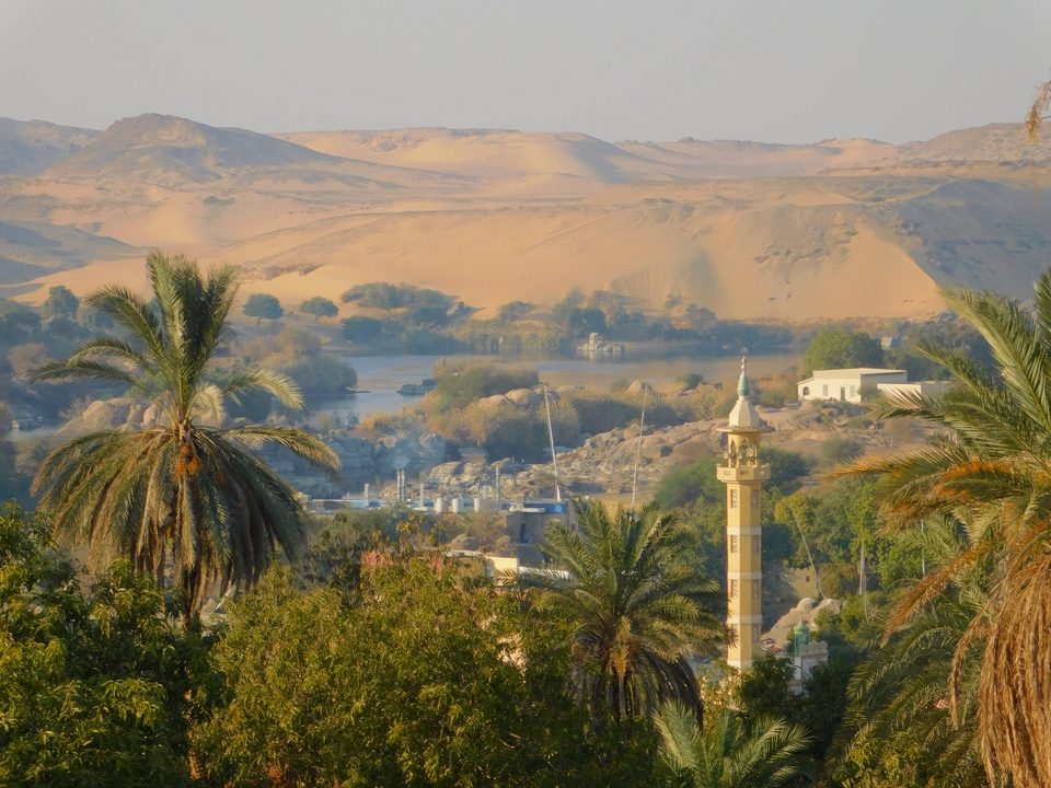 Une vue pittoresque d'une rivière dans un paysage désertique avec des palmiers.