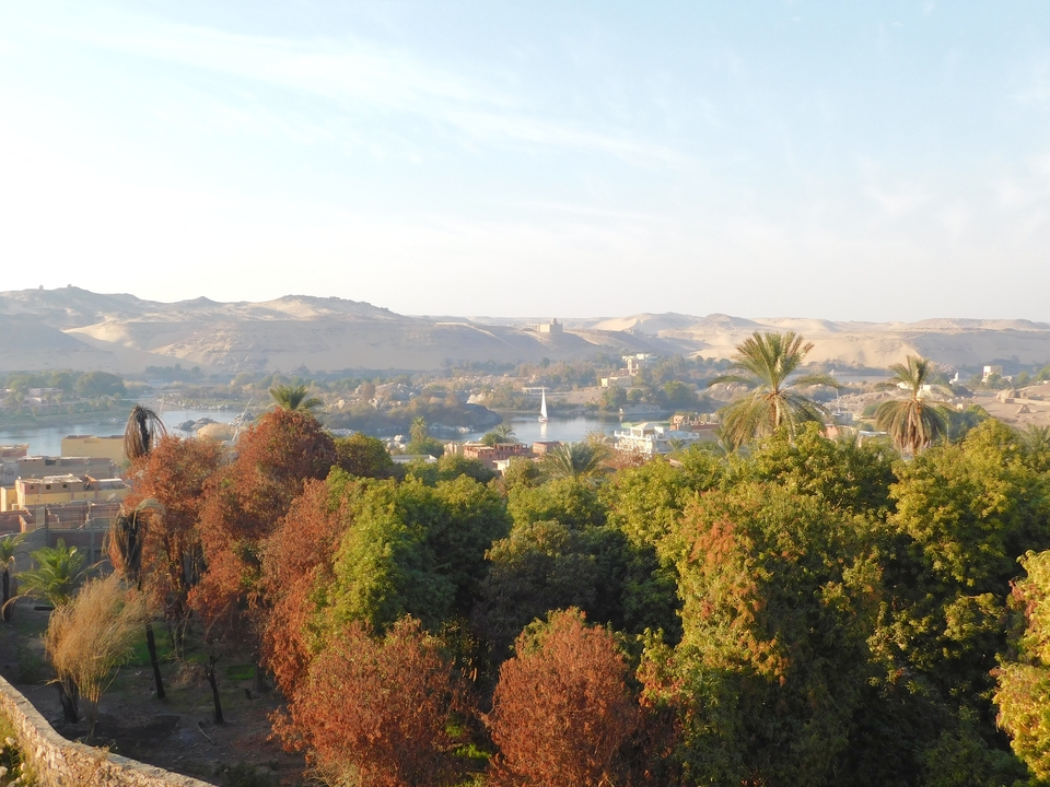 Belle vue du fleuve Nil avec une végétation luxuriante et des collines au loin.