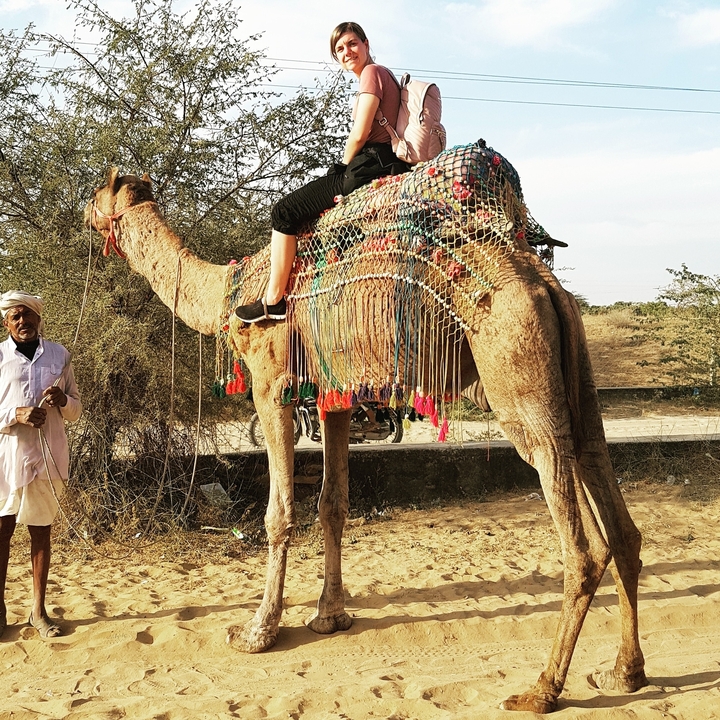 Personne chevauchant un chameau décoré dans un paysage aride.