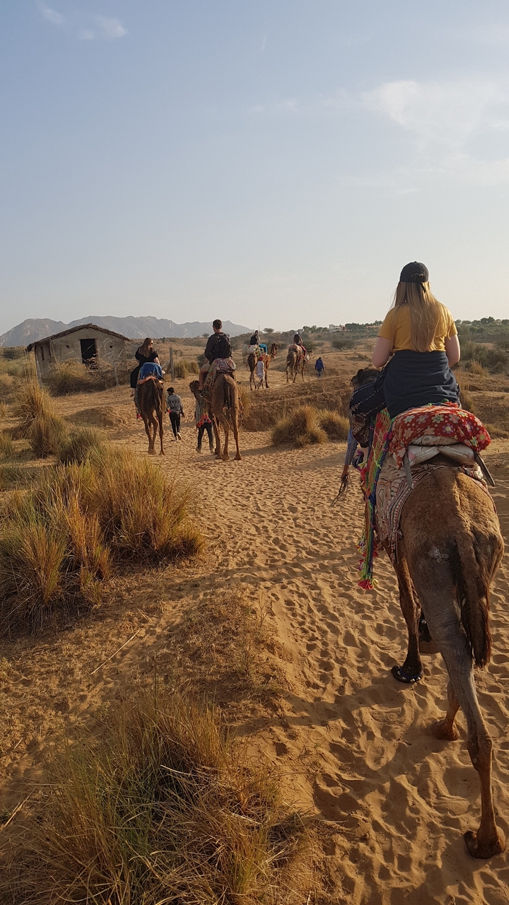 Groupe de personnes montant des chameaux sur un sentier du désert.