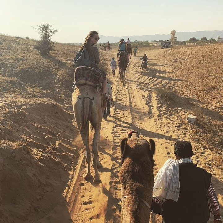 Caravane de chameaux traversant un paysage désertique.