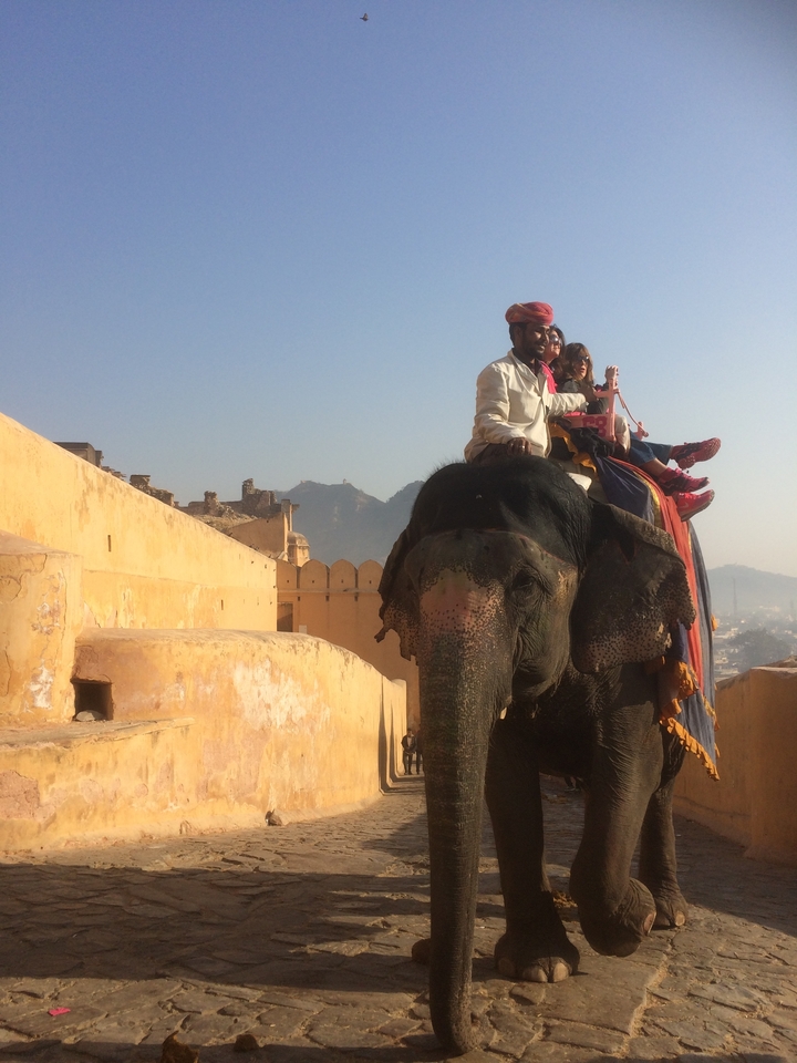 Éléphant avec cavalier près d'un mur de fort.