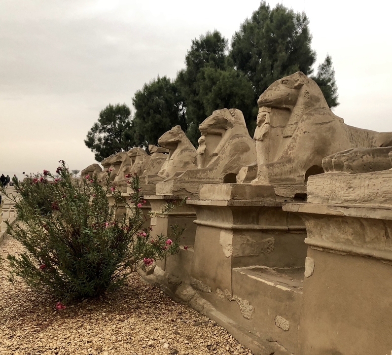 Une rangée de statues de sphinx antiques entourées de végétation.