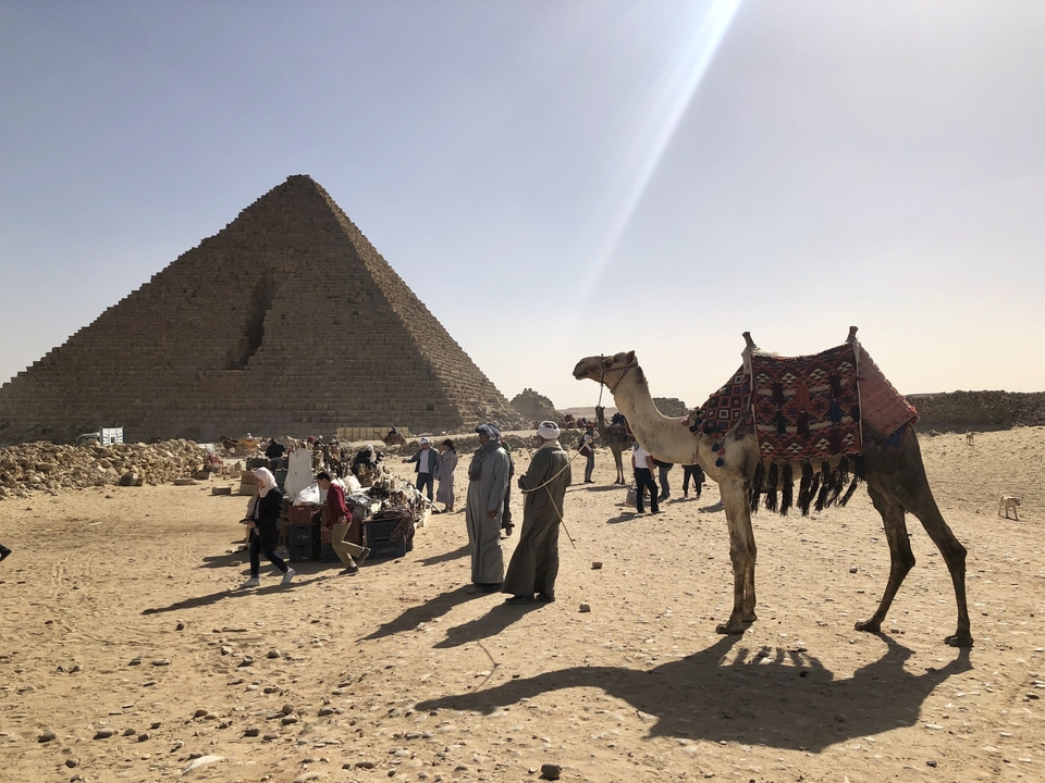 Chameau près d'une pyramide avec des gens et un paysage désertique en arrière-plan.