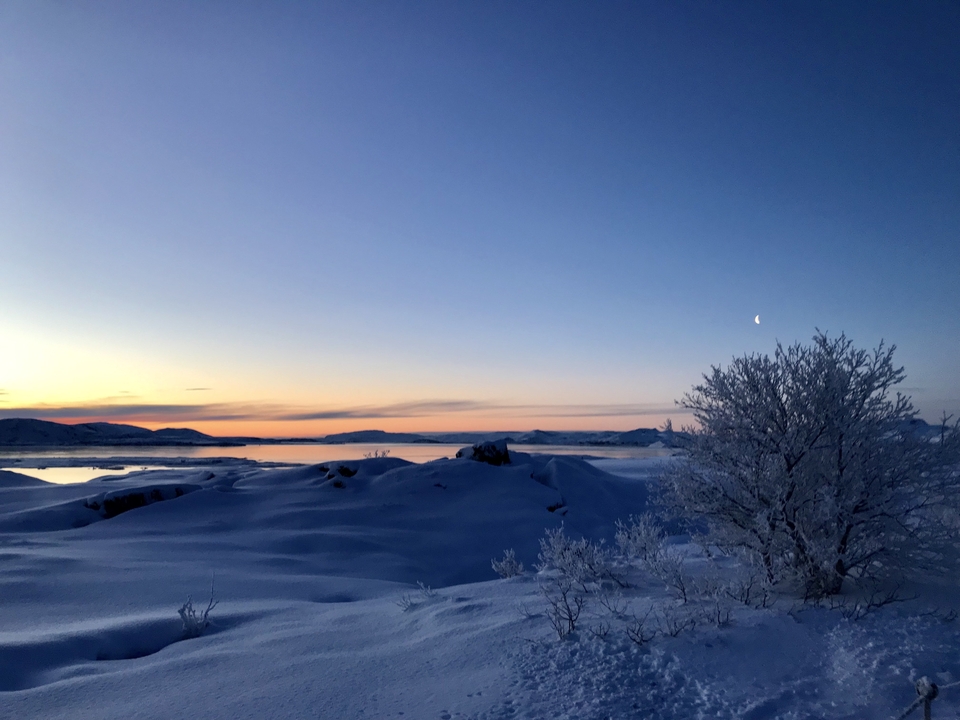 Snow-covered landscape with a tree and a crescent moon in the sky, at sunset.