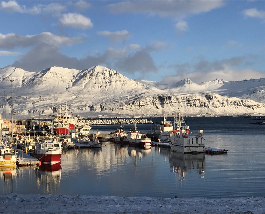 Harbor with boats and snow-covered mountains in the background.