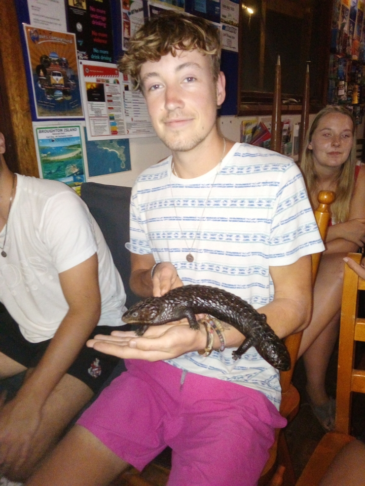 Personne tenant un reptile de couleur sombre.