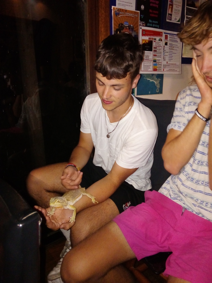 Jeune homme tenant un petit reptile à l'intérieur.