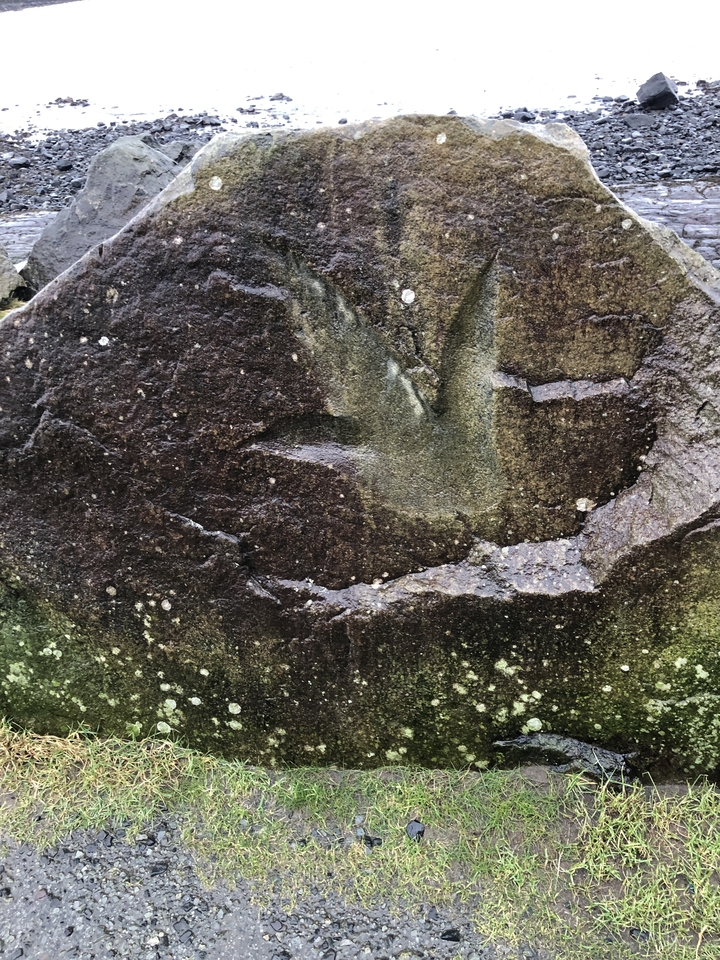 Close-up of a rock surface with unknown carvings.