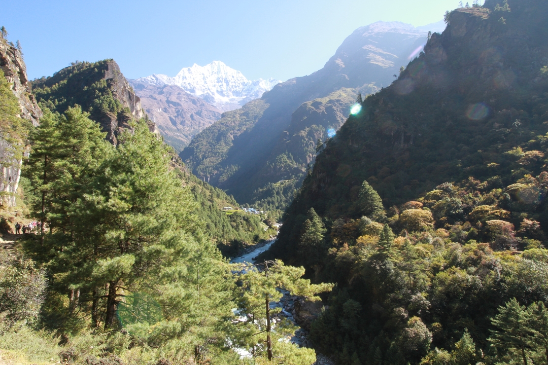 Une vallée luxuriante avec une rivière et des montagnes enneigées en arrière-plan.