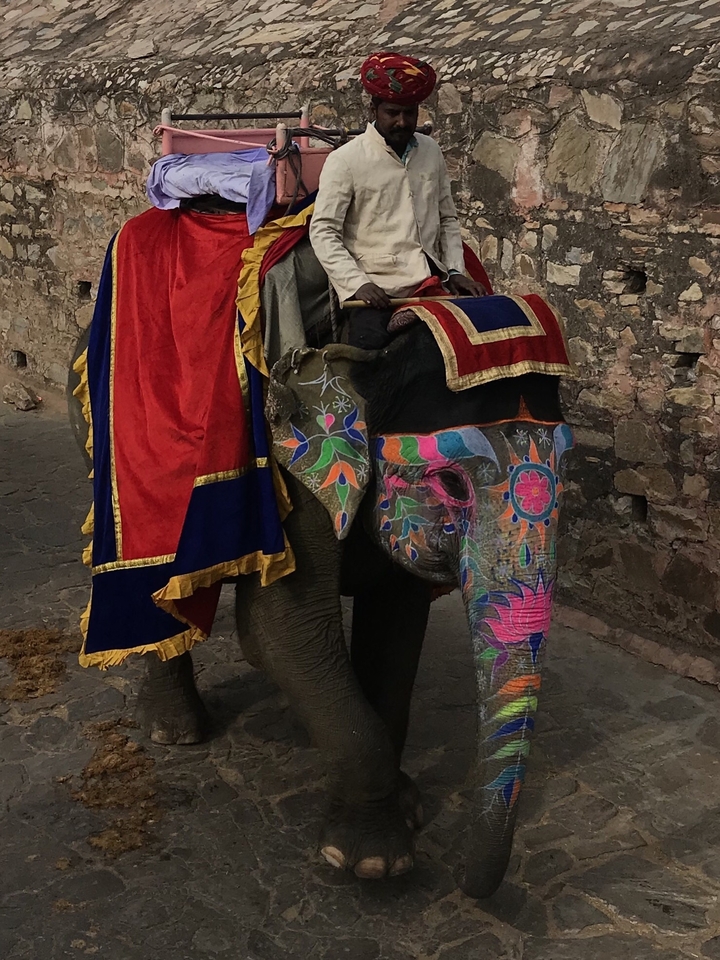 Une personne montant un éléphant peint.