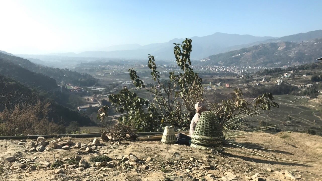 Vue panoramique d'une vallée et de montagnes avec un panier et des branches au premier plan.