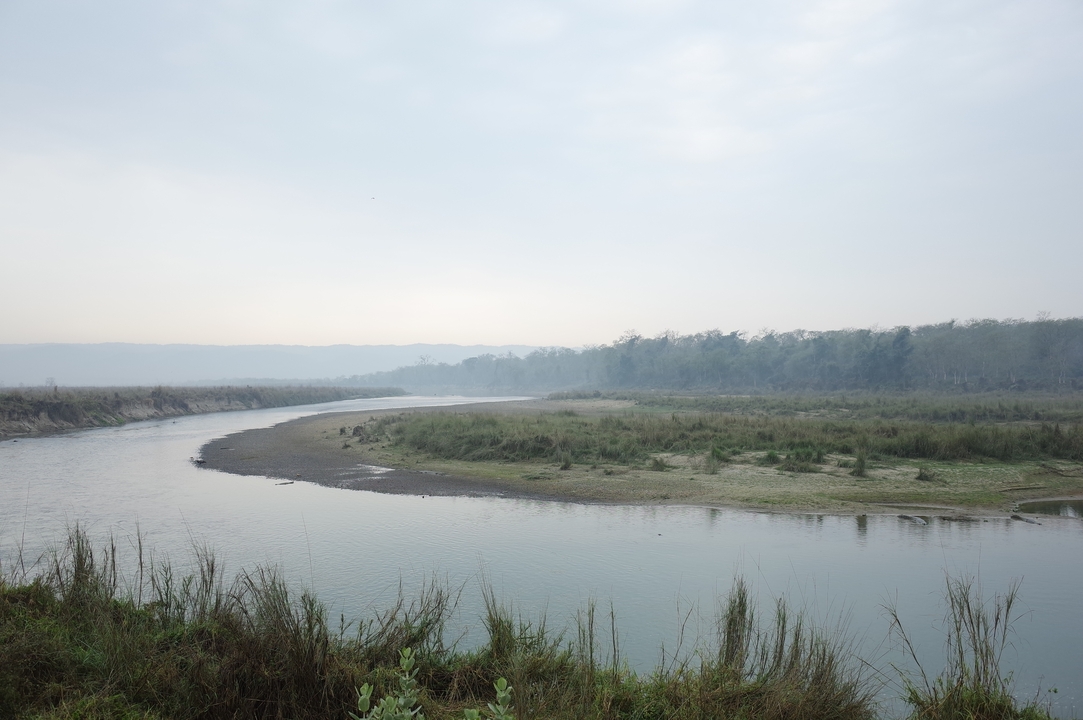 Rivière serpentant à travers un paysage brumeux.