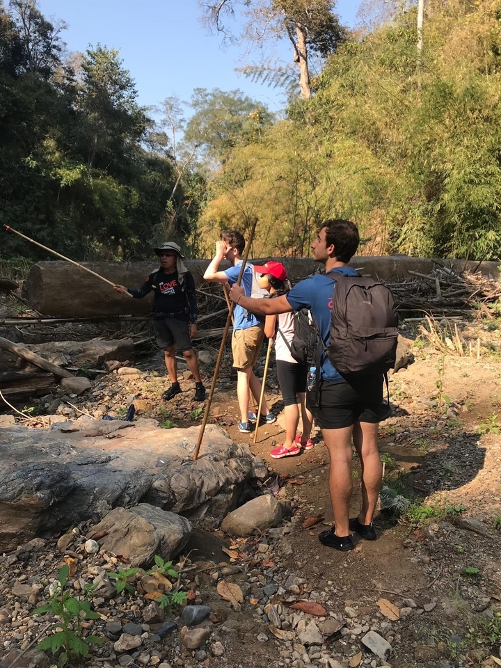 Groupe de randonneurs avec des bâtons de marche dans un cadre forestier.