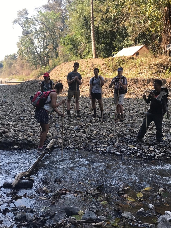 Groupe traversant une rivière en utilisant des pierres de gué dans un cadre naturel.