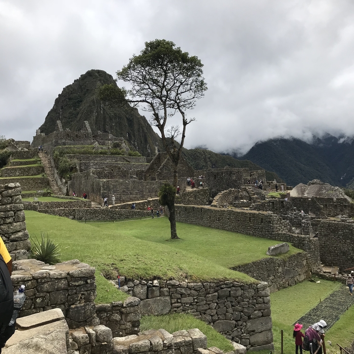 Machu Picchu with lush greenery and misty mountains.