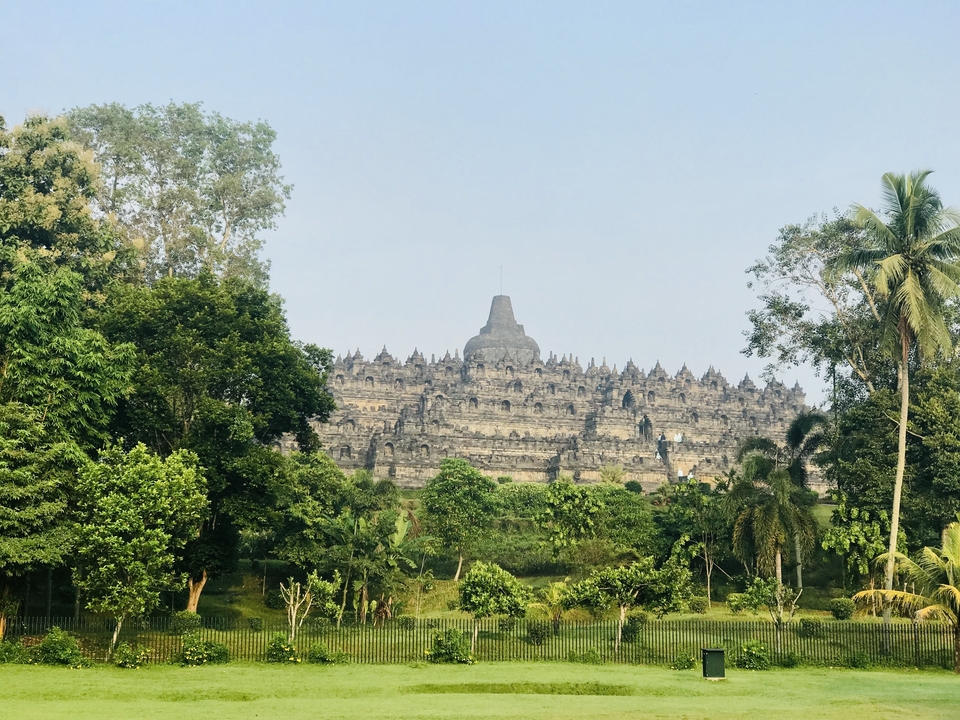 Temple de Borobudur avec une végétation luxuriante environnante.