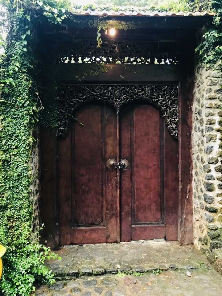 Portes traditionnelles en bois sculpté avec des plantes.