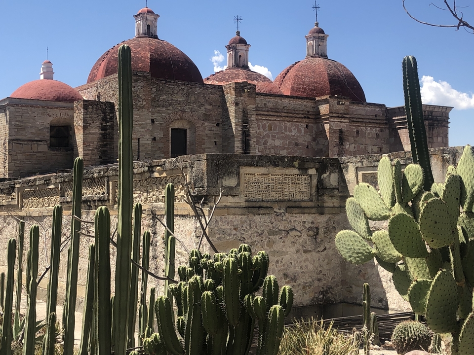 Historic stone church complex with red domes viewed past a foreground of prickly cacti on a sunny day.