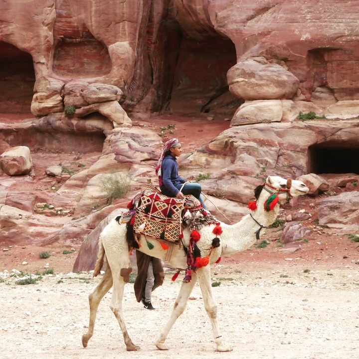 Personne montant un chameau à travers un terrain rocheux.