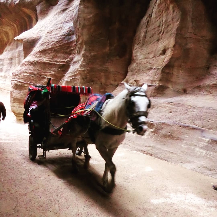 Image floue d'une calèche dans un canyon.