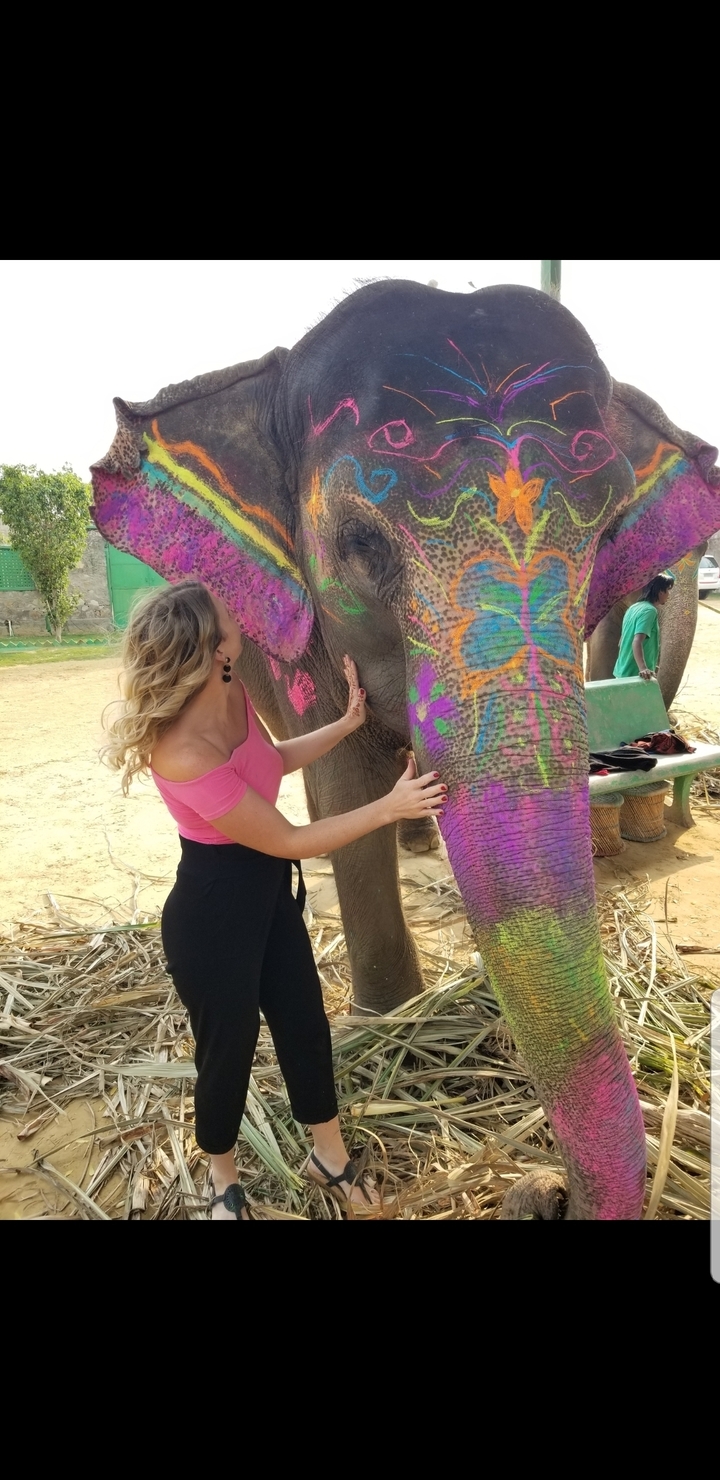 Femme interagissant avec un éléphant coloré décoré.