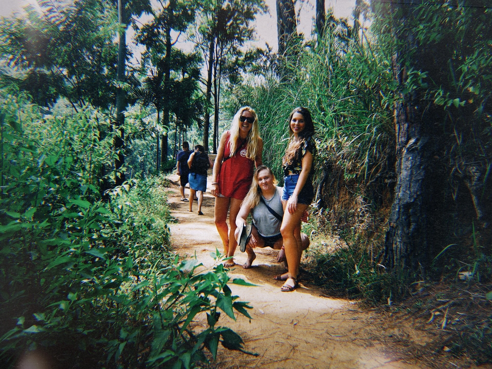 Groupe de personnes posant sur un sentier de randonnée entouré d'une végétation luxuriante.