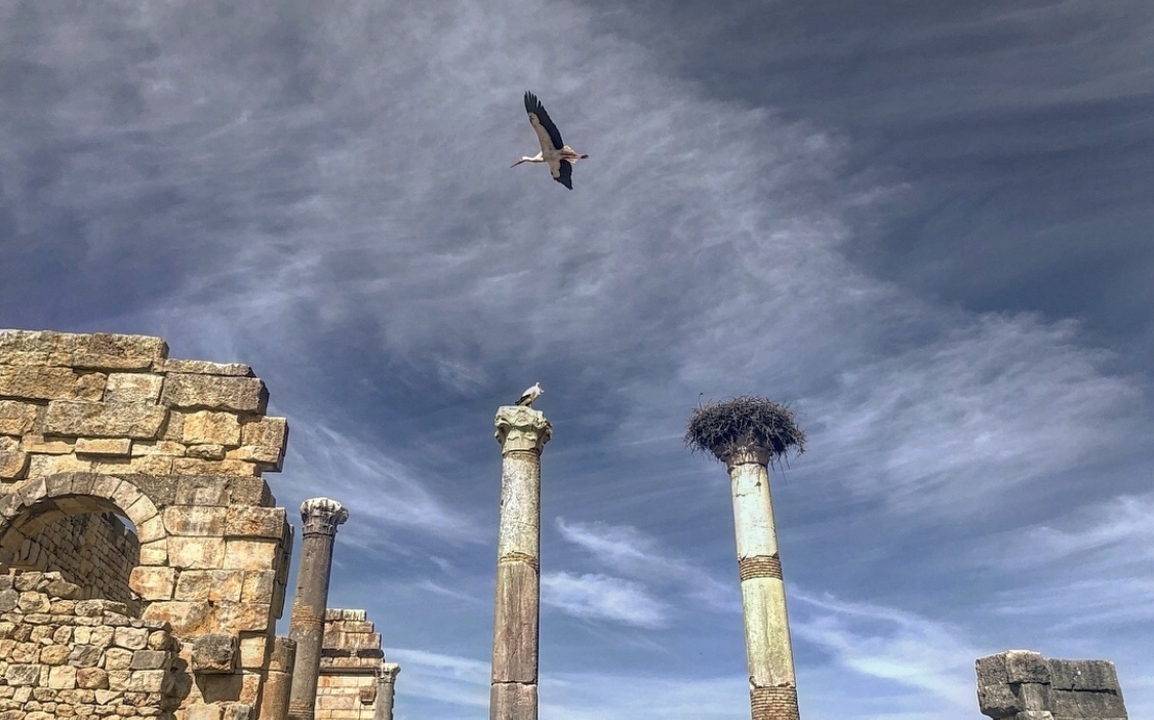 Ancient columns with birds flying above.