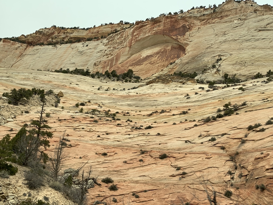 Collines ondulées avec un paysage à la végétation clairsemée.
