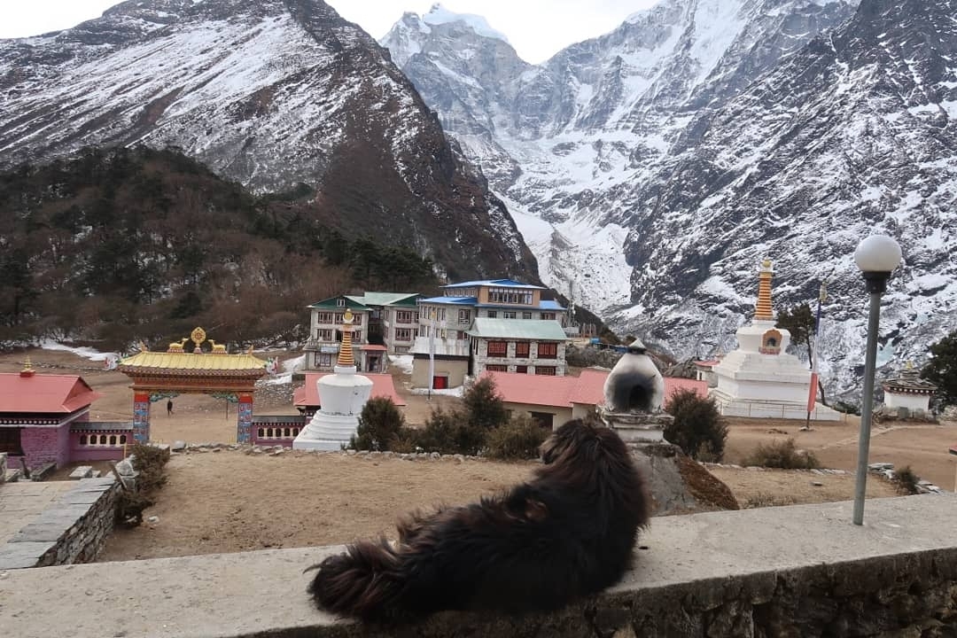 Vallée remplie de bâtiments colorés avec des sommets enneigés.
