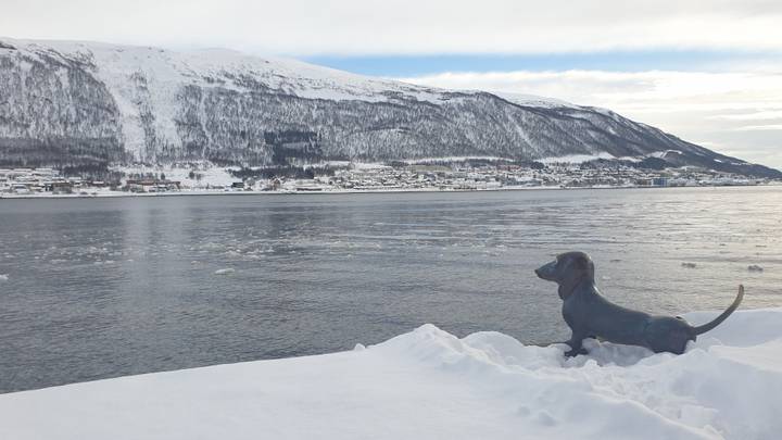 Dog sculpture looking toward a snowy town across the water.
