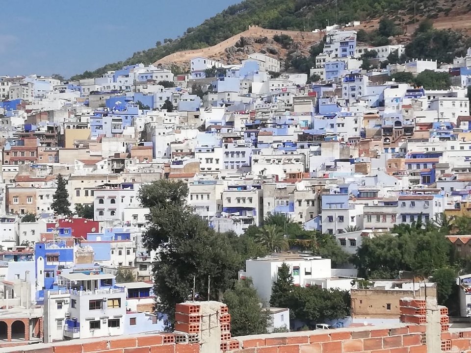 Skyline of a city with blue and white buildings.